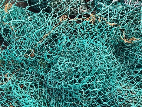 Picture of a net